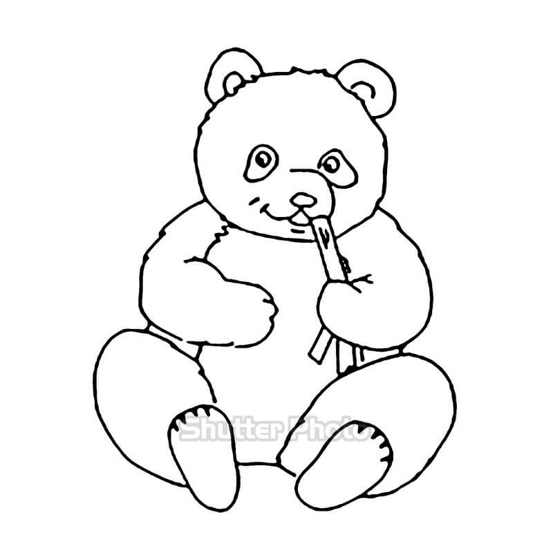 15 tranh tô màu hình con gấu cho bé phát triển tư duy hội họa