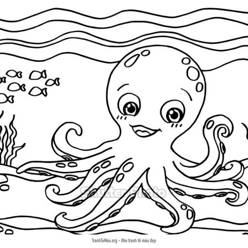 Hướng dẫn chi tiết cách vẽ con bạch tuộc đơn giản với 9 bước cơ bản