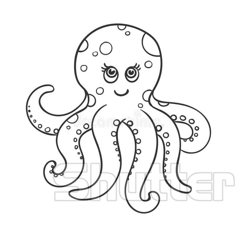 Cách vẽ con bạch tuộc cho bé Mẫu hình vẽ bạch tuộc đẹp vừa dễ thương   PHÒNG GD  ĐT HUYỆN CON CUÔNG
