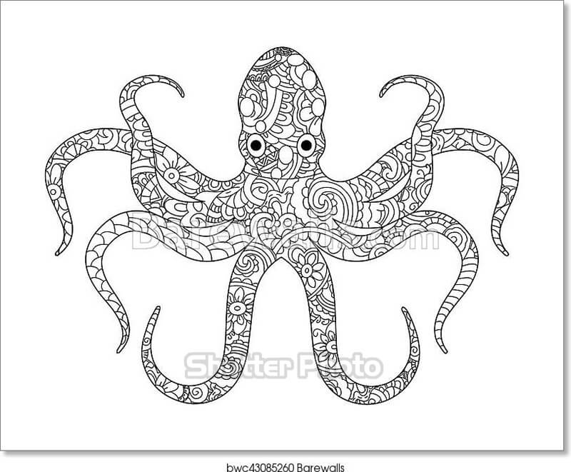 Cách vẽ tranh tô màu CON BẠCH TUỘC  How to Draw an Octopus  YouTube