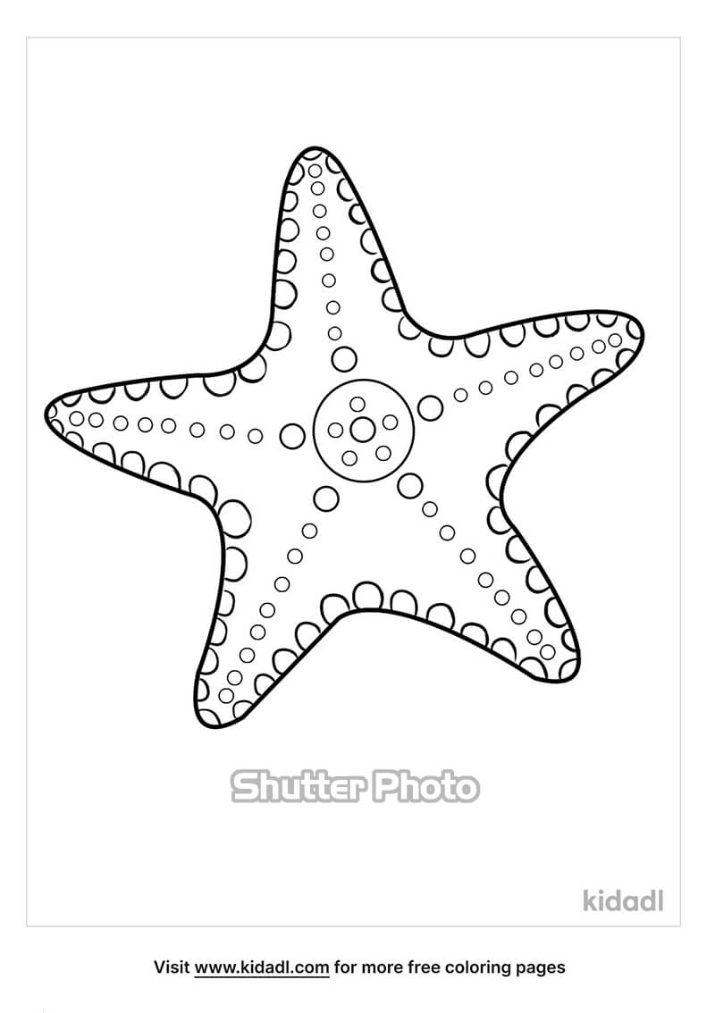 Chia sẻ 45+ về tranh tô màu con sao biển hay nhất