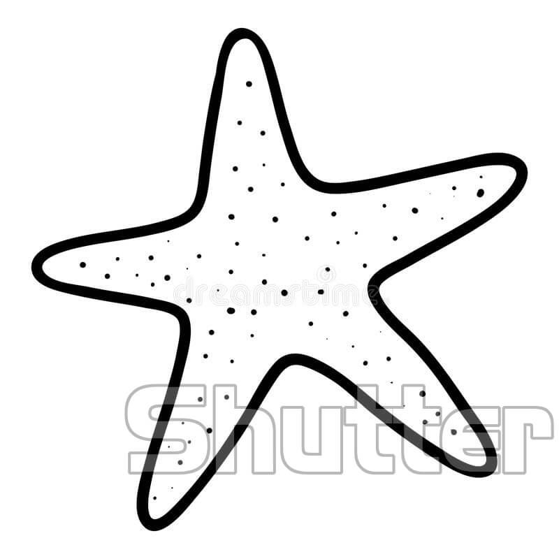 Xem hơn 100 ảnh về hình vẽ con sao biển  daotaonec