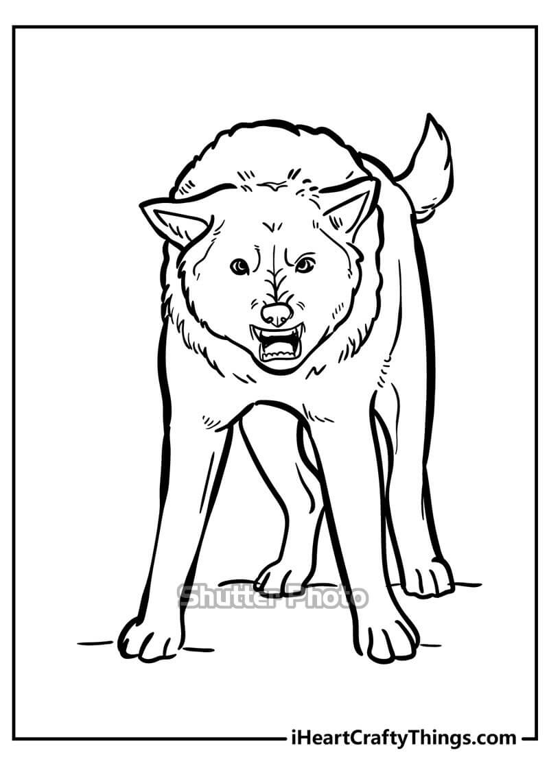 Xem hơn 99 ảnh về hình vẽ con chó sói  NEC