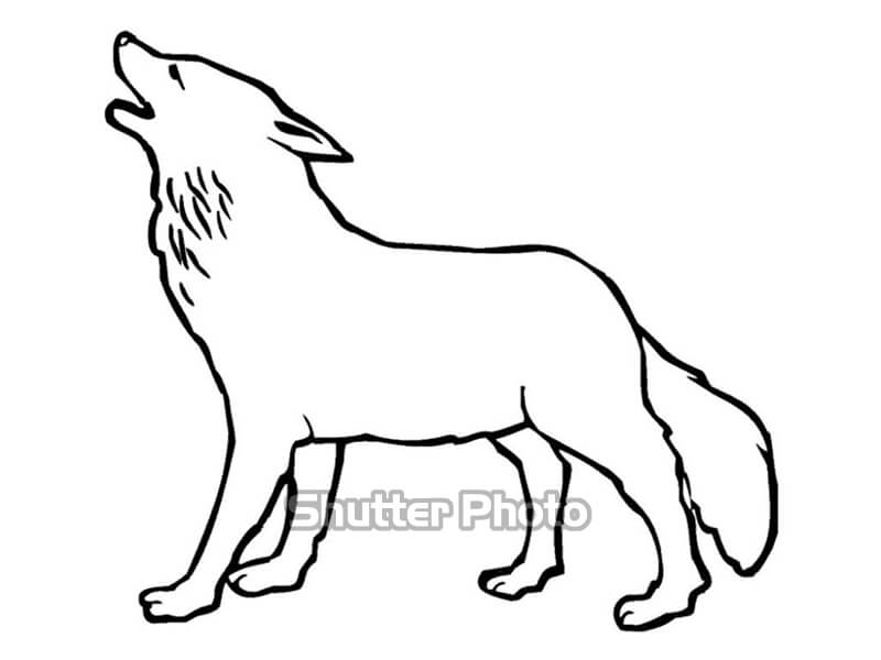 37 Chó soi ý tưởng  chó sói hình xăm sói sói