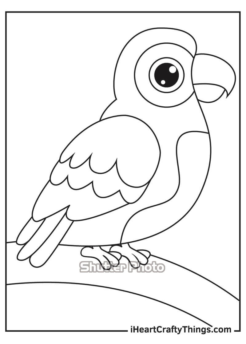 Hình ảnh Khắc Vẽ Con Vẹt PNG  Thánh Allah Vẹt Macaw Exotic PNG và Vector  với nền trong suốt để tải xuống miễn phí