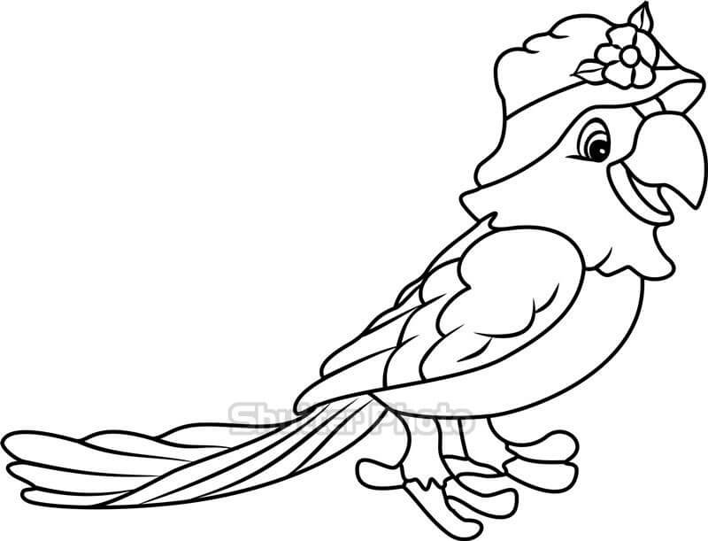 Hình ảnh Hình Con Vẹt Dễ Thương PNG  Clipart Vẹt Động Vật Biểu Tượng PNG  và Vector với nền trong suốt để tải xuống miễn phí