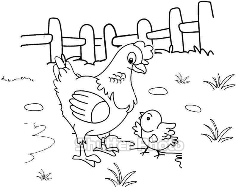 Cách vẽ con gà đơn giản chỉ trong 1 phút