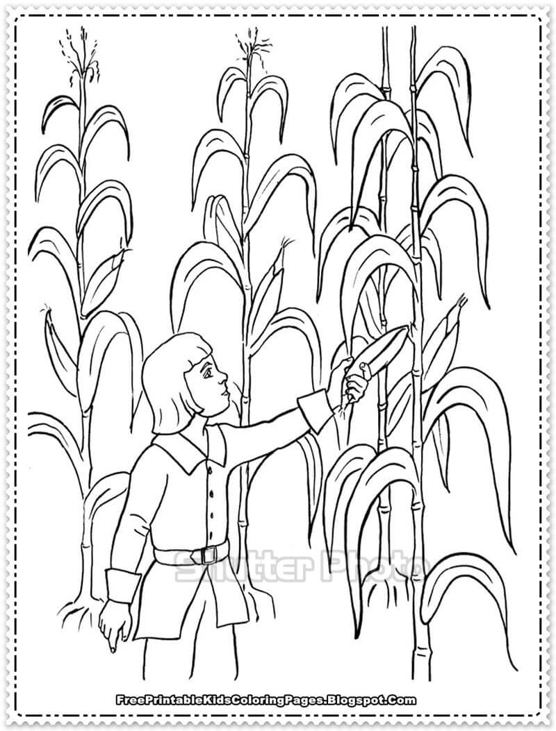 Top 338 vẽ cây lúa đơn giản không thể bỏ qua  Tin Học Vui