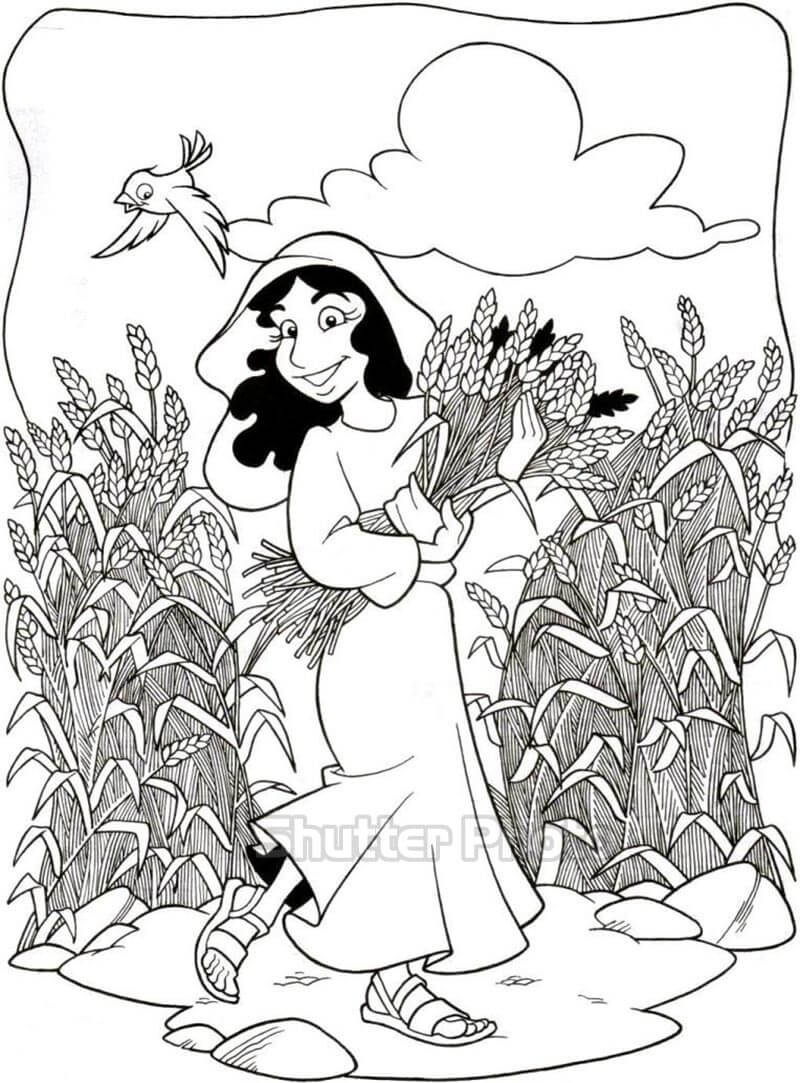 Bộ tranh tô màu cánh đồng lúa "hot" nhất - cập nhật lúa "hot" tháng 02/2023 đang thu hoạch