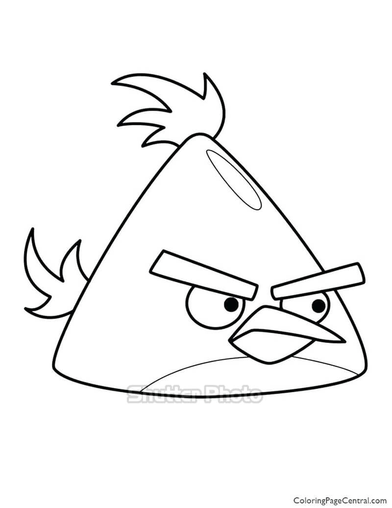 Hướng Dẫn Vẽ Các Nhân Vật Phim Angry Birds  How To Draw Angry Birds  Characters  YouTube