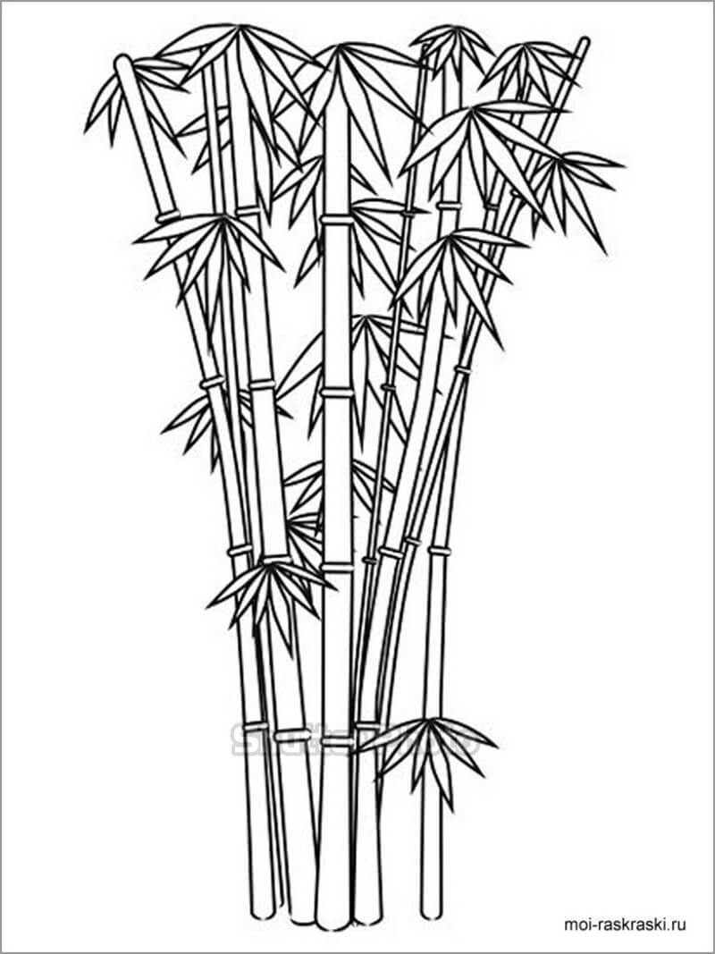 Cách vẽ cây tre Việt Nam đơn giản  Hướng dẫn vẽ cây tre bằng bút chì   Draw bamboo tree  YouTube