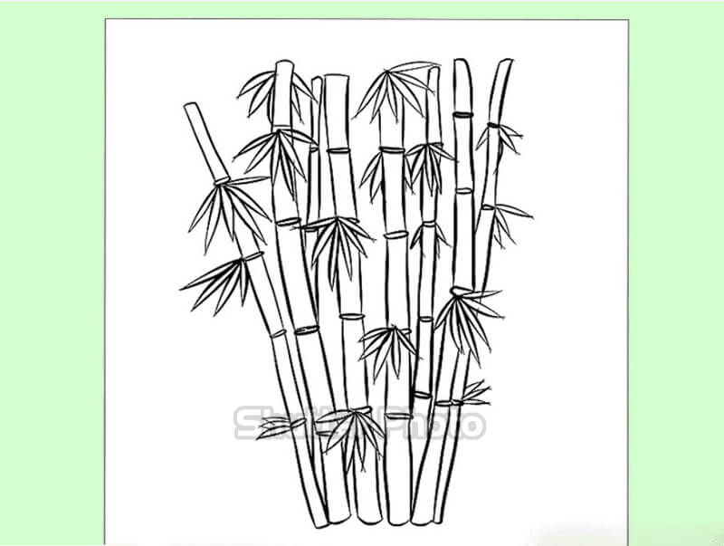 Cách vẽ cây tre đơn giản  how to draw bamboo  Art By Phúc Thịnh  YouTube