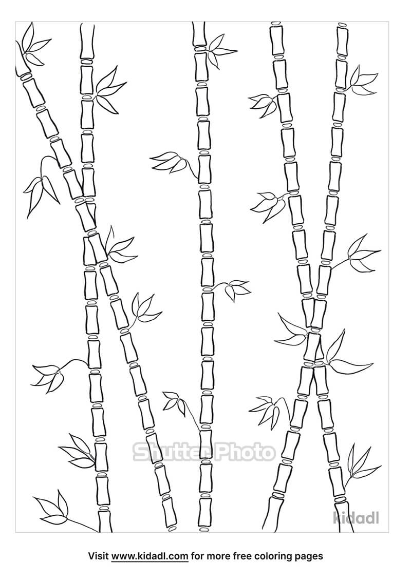 Cách vẽ cây treHow to draw a bamboo tree  YouTube