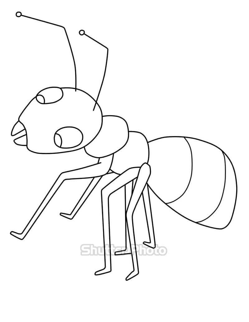Tổng hợp với hơn 54 về tô màu con kiến mới nhất - cdgdbentre.edu.vn