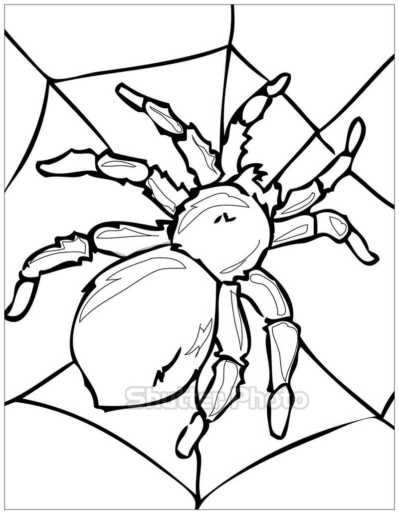 Tranh tô màu con nhện: Bạn có thích tô màu và khám phá với các hình vẽ độc đáo? Hãy thử tài của mình với bức tranh tô màu vô cùng đáng yêu với chủ đề con nhện nào! Hứa hẹn sẽ mang lại cho bạn những giây phút thư giãn vô cùng thú vị.