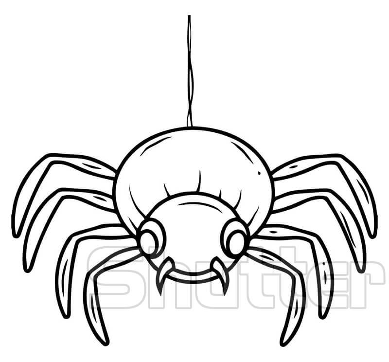 Cách vẽ con nhện đẹp đơn giản cho bé học quá dễ