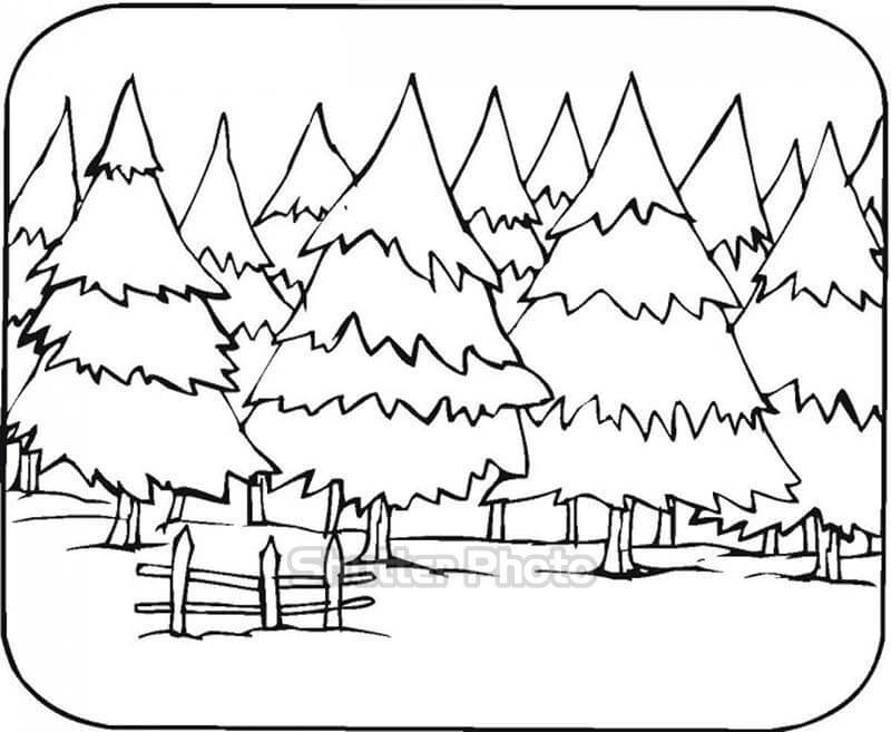 Chi tiết 67 về hình vẽ rừng mới nhất  cdgdbentreeduvn