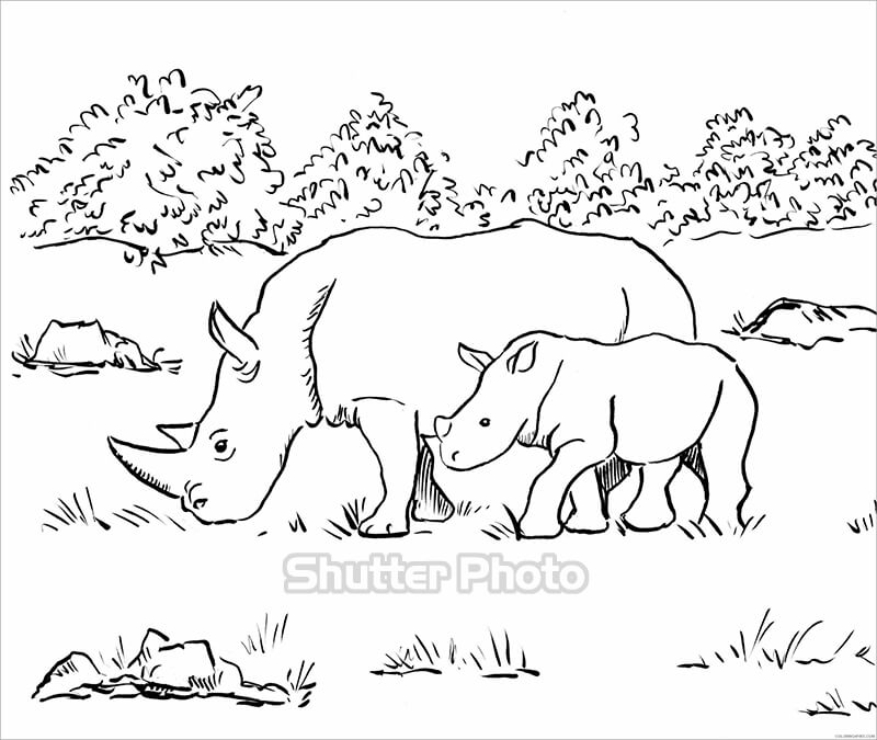 TP Hồ Chí Minh Vẽ tranh tường nghệ thuật truyền tải thông điệp bảo vệ loài tê  giác