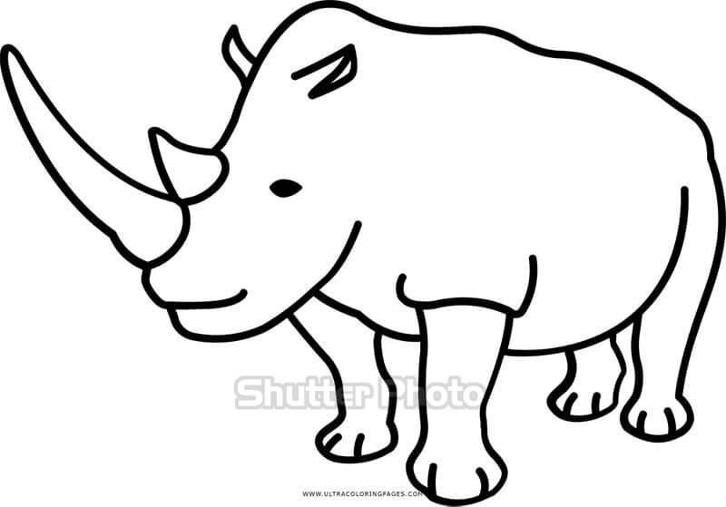 Tê Giác Vẽ Hoạt Động Vật  rút tay con tê giác png tải về  Miễn phí trong  suốt Liệu png Tải về