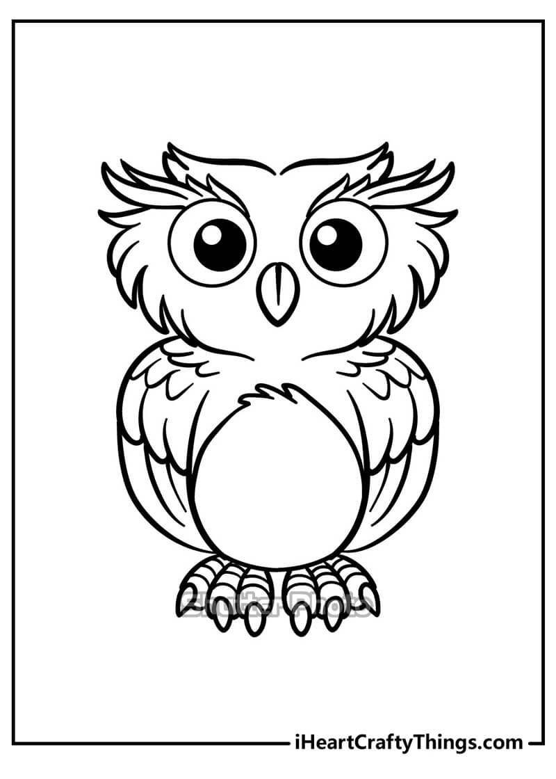 Vẽ con cú mèo dễ thương Vẽ động vật How To Draw An Owl  YouTube