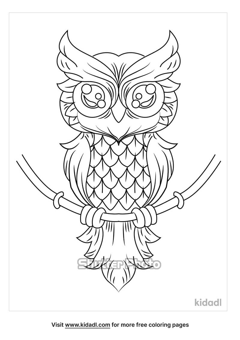 Vẽ con cú mèo dễ thương Vẽ động vật How To Draw An Owl  YouTube