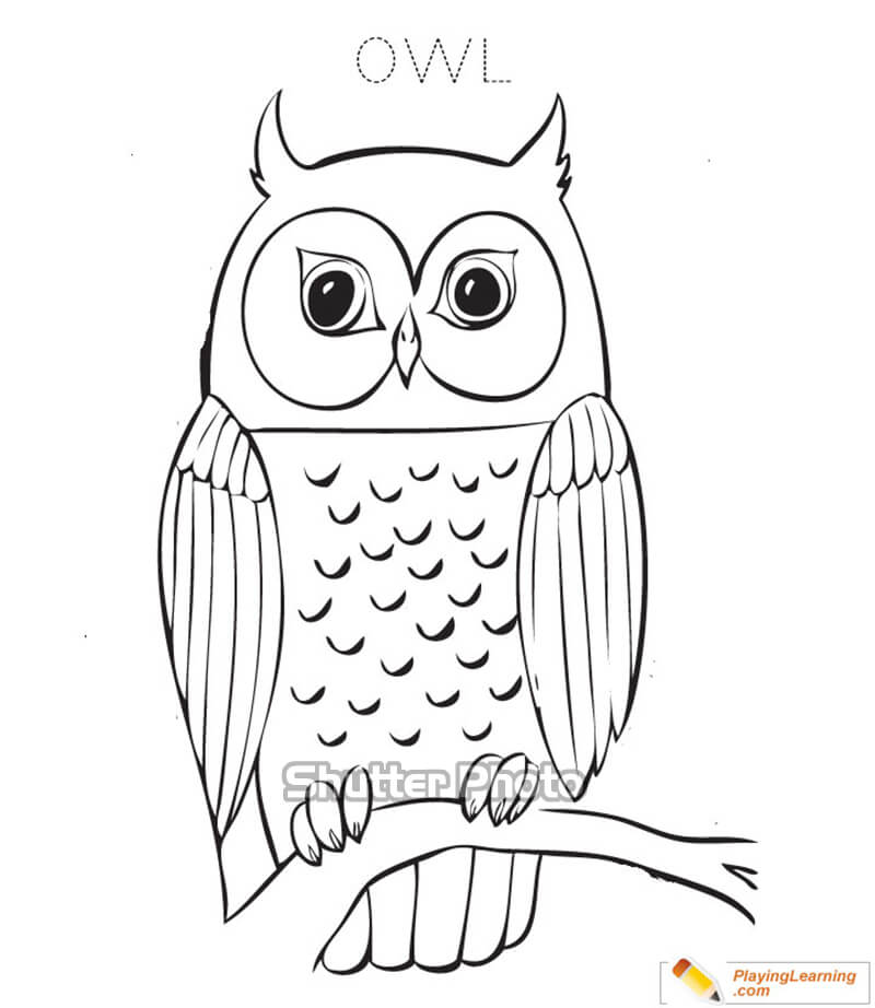 Vẽ con cú mèo dễ thương Vẽ động vật How To Draw An Owl  YouTube