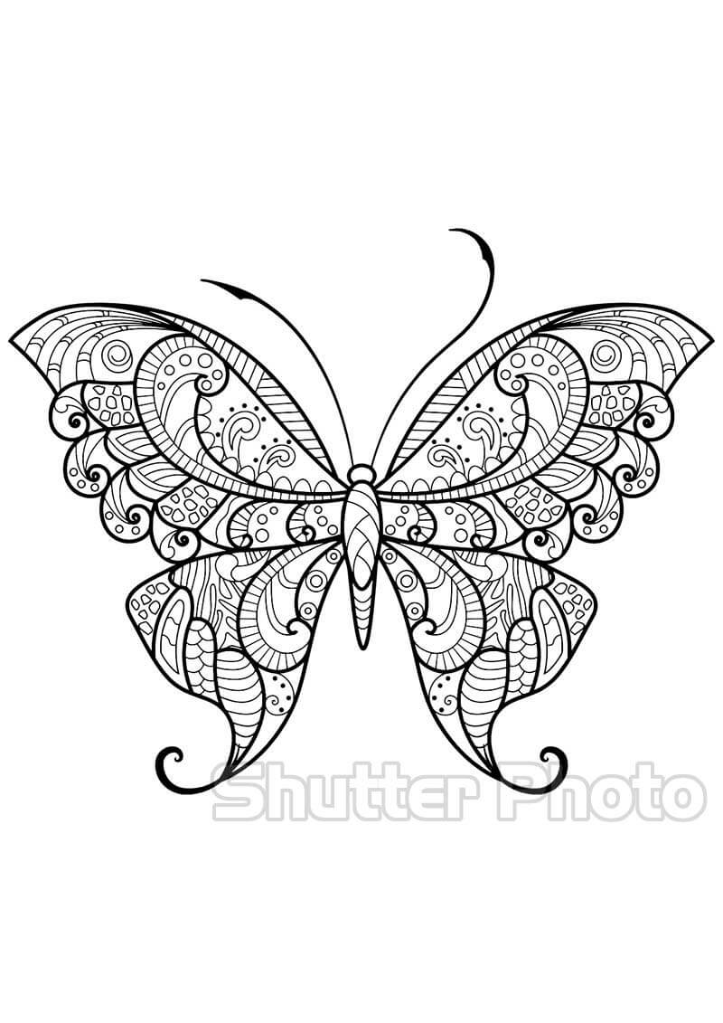 Cập nhật tranh tô màu con bướm xinh xinh tháng 02/2023
