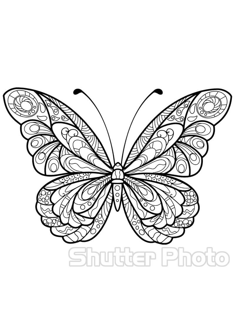 Tạo hình tô màu con bướm