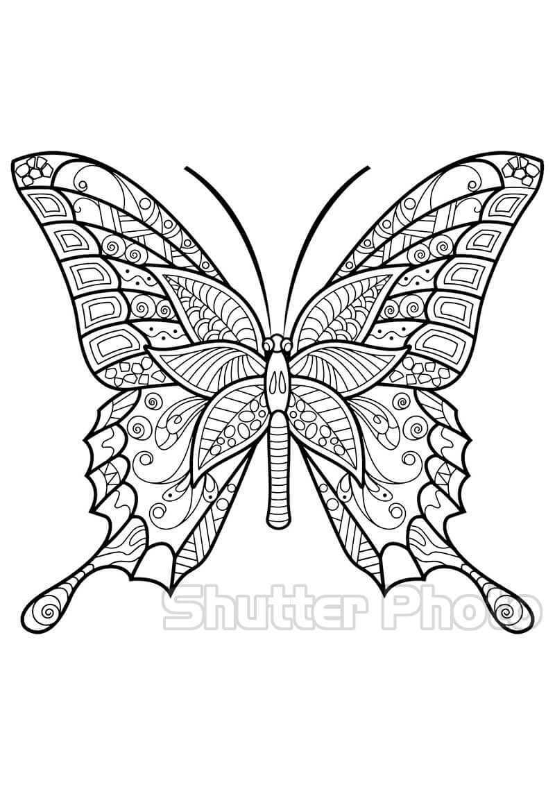 Cập nhật tranh tô màu con bướm xinh xinh tháng 02/2023