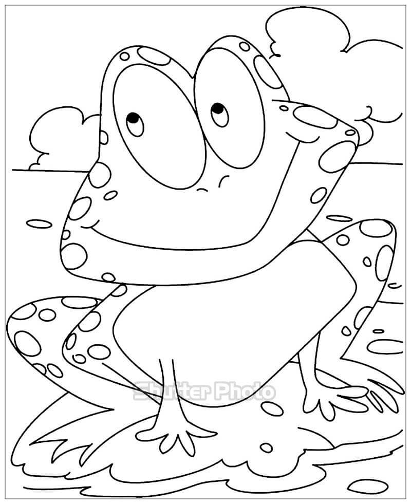 Những bức tranh tô màu con ếch sống động dành cho bé yêu tập tô Update 12/2023