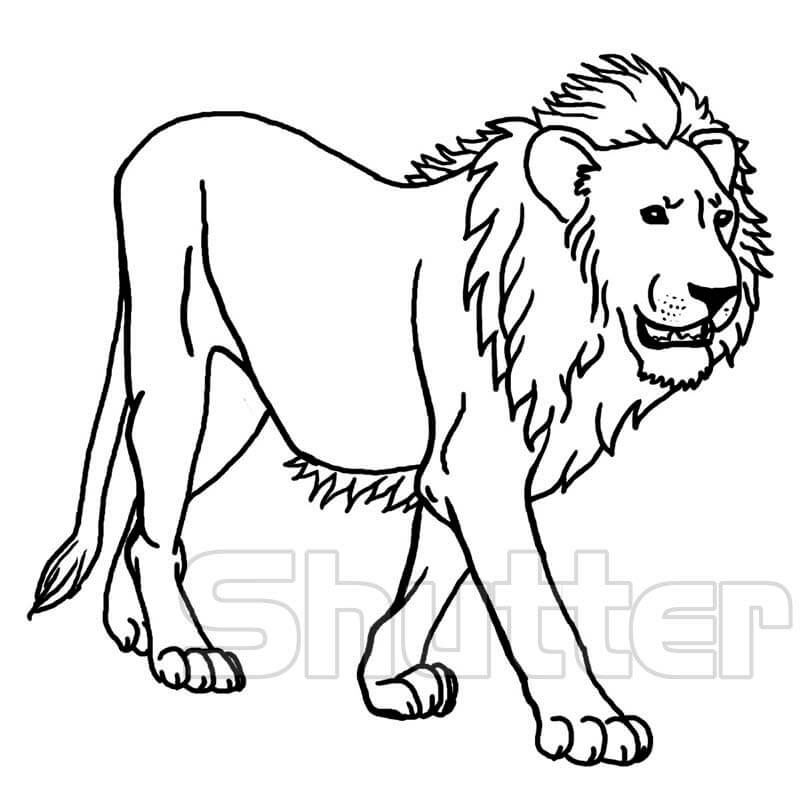 In hình Tranh tô màu con sư tử