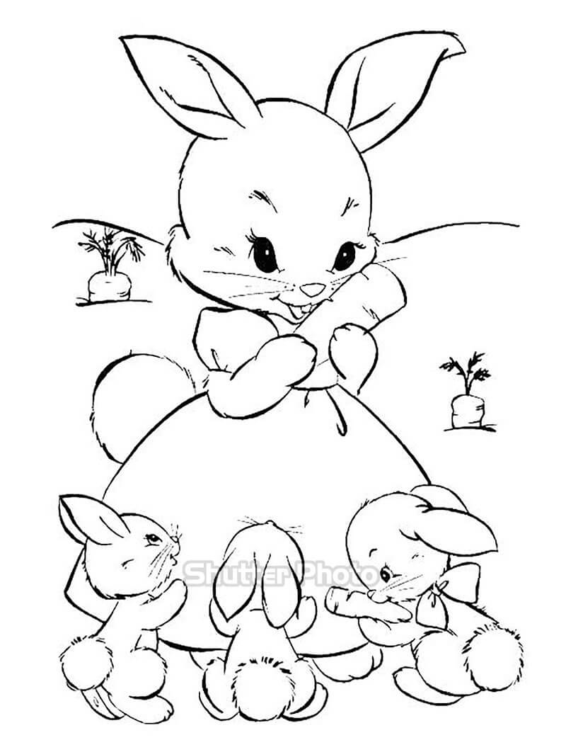 Trang tô màu thỏ dễ thương cho bé  Tranh Tô Màu cho bé