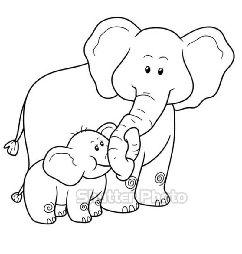 Hướng dẫn cách vẽ con voi đơn giản với 9 bước ai cũng thực hiện được