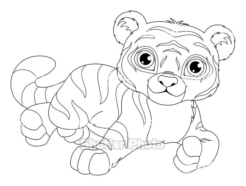 Vẽ con hổ theo cách dễ dàng nhất cho bé  YeuTreNet