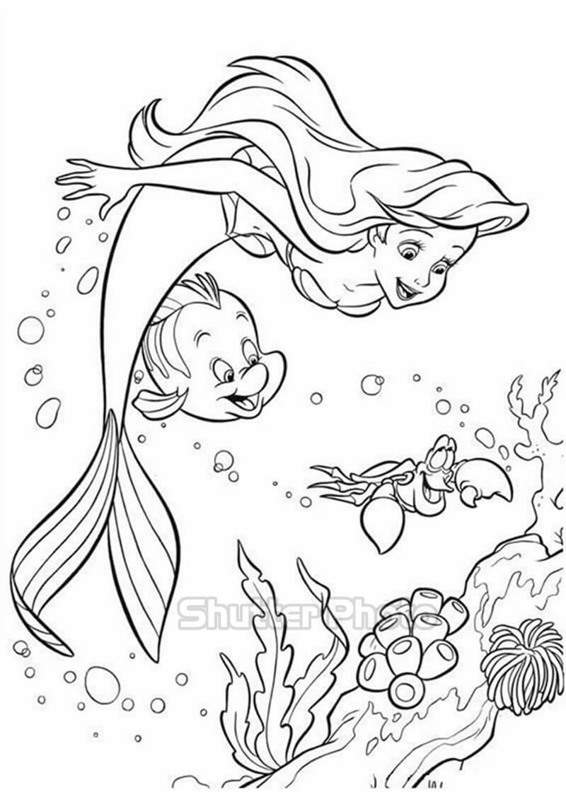 Bộ tranh tô màu Nàng Tiên Cá đơn giản và đẹp nhất Update 03/2023