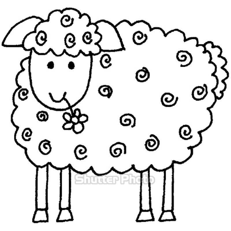 Bộ 25 tranh tô màu con cừu siêu đẹp dành tặng bé yêu