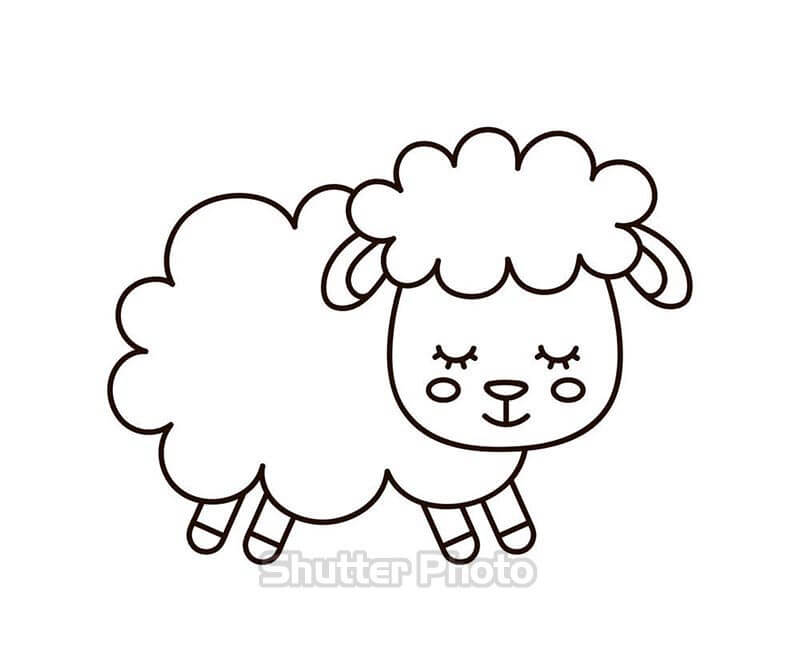 Tranh tô màu con cừu