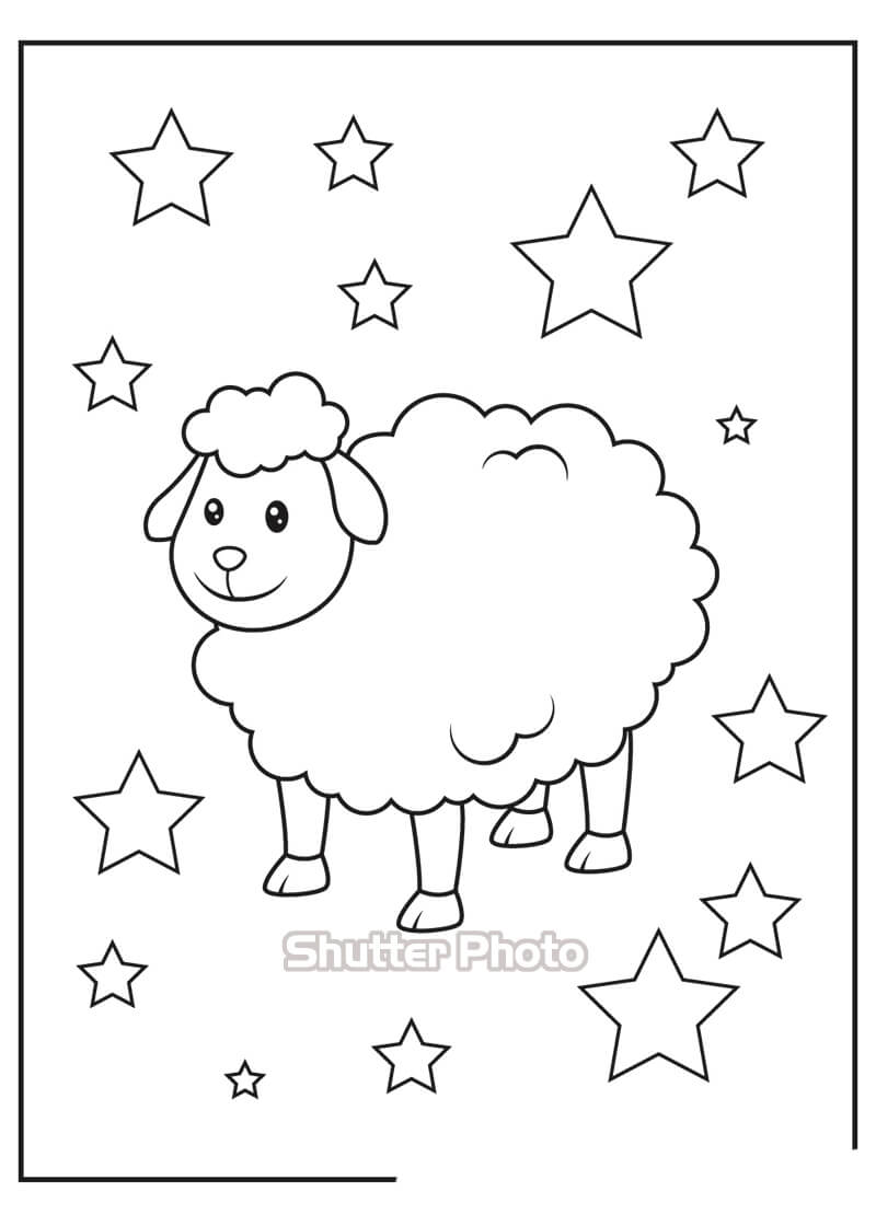 Bộ sưu tập những bức tranh tô màu con cừu cho bé  Trang tô màu Hình ảnh  Đang yêu