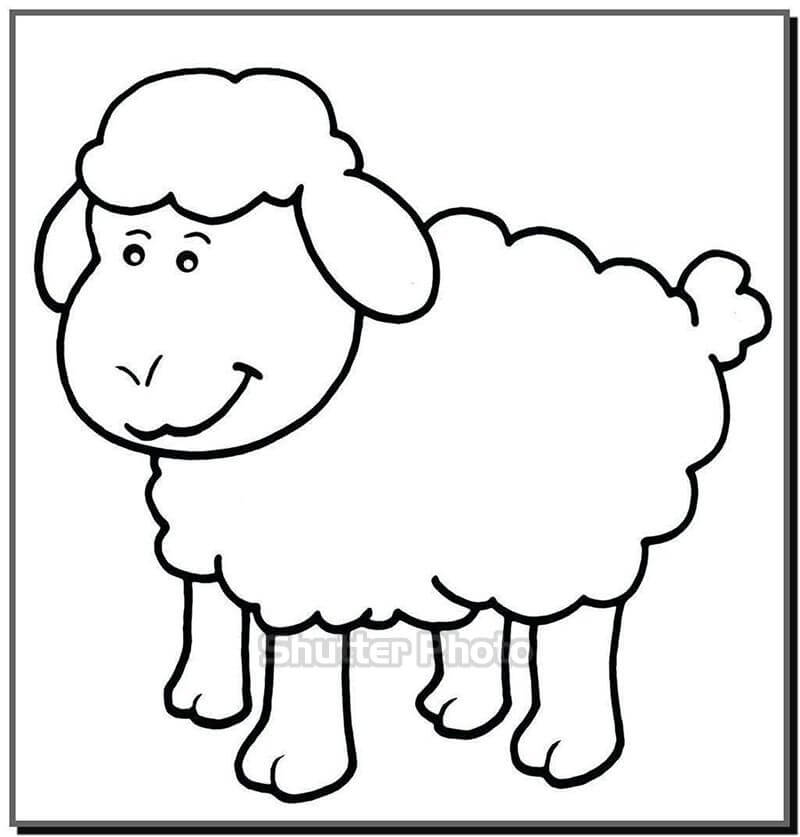 Tô màu Con Cừu Xinh Xắn  Trang Tô Màu Cho Bé
