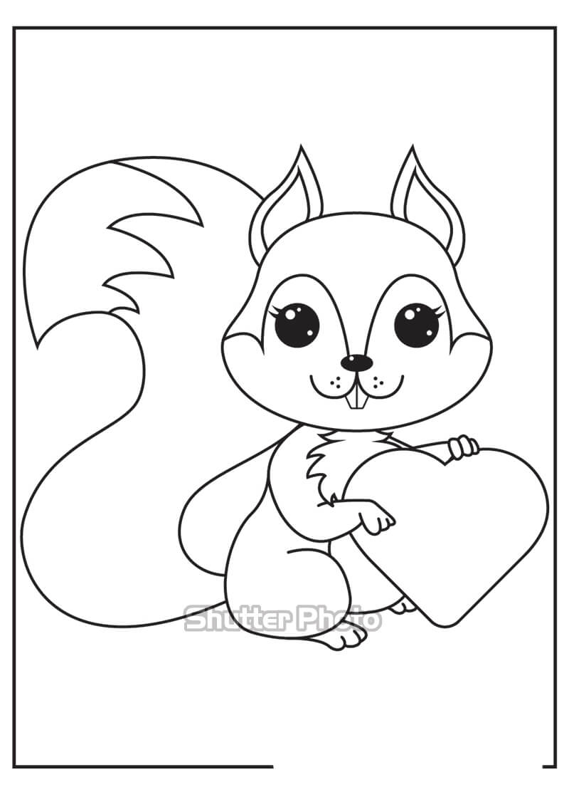 Vẽ con sócHow to Draw Squirrel  YouTube