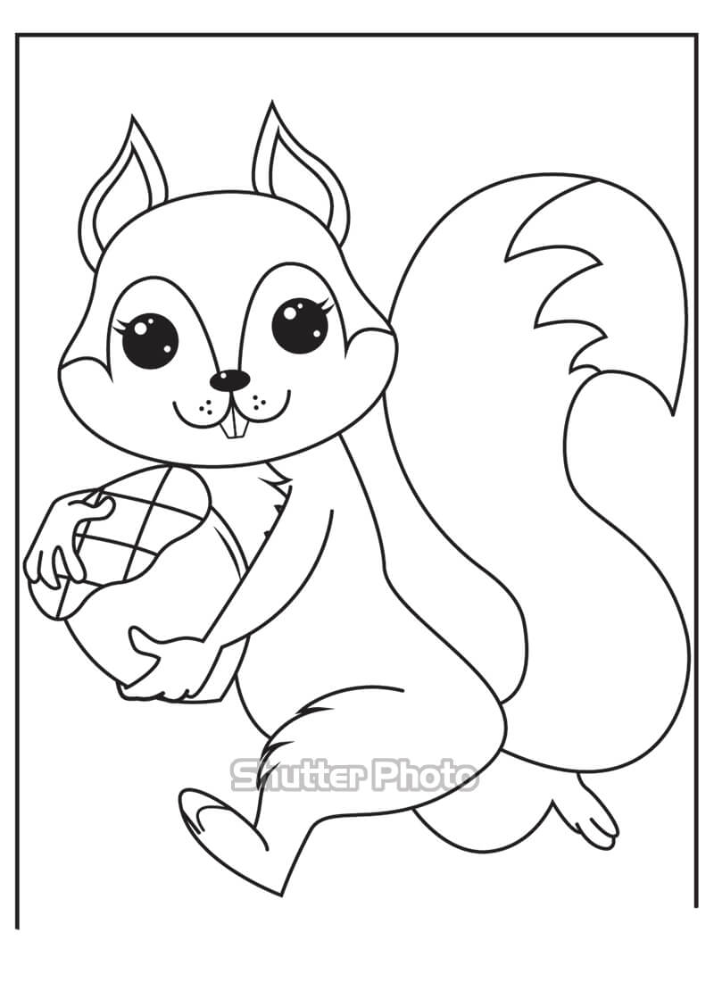 Ve Con Soc  Cách Vẽ Con SócHow to Draw a Squirrel  YouTube