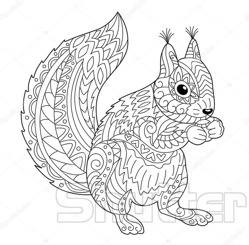 Squirrel Đồ họa mạng di động Đồ họa vector Scrat Clip art  hình ảnh con  cáo png tải về  Miễn phí trong suốt Con Sóc png Tải về