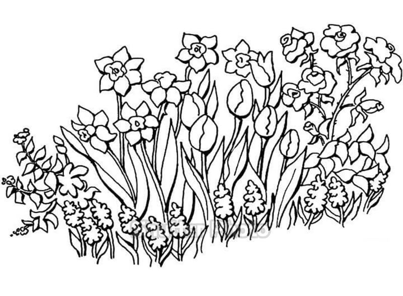 Chia sẻ 330 vẽ hoa cỏ đơn giản tuyệt vời nhất  Tin Học Vui