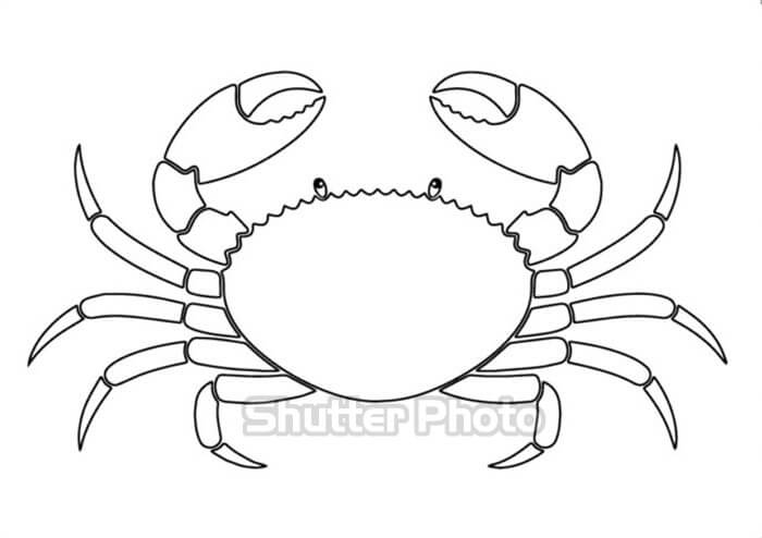 Xem Hơn 48 Ảnh Về Hình Vẽ Con Cua - Daotaonec
