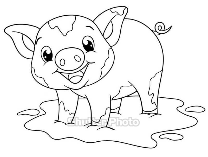 80+ tranh tô màu con lợn ngộ nghĩnh đáng yêu Update 2023