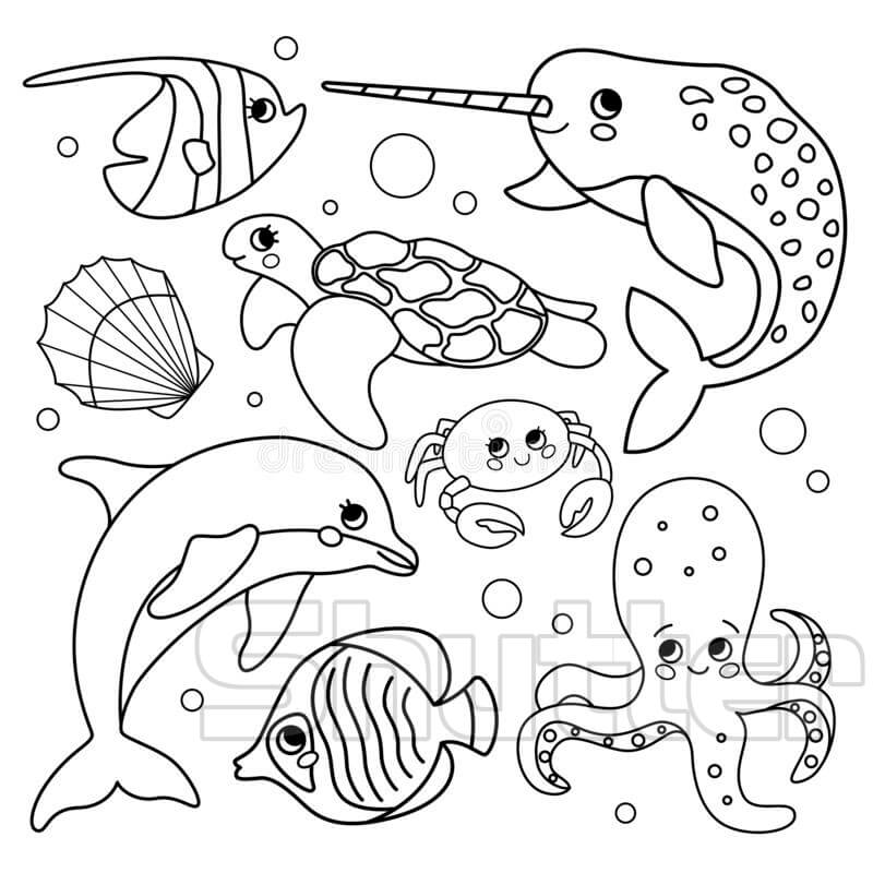 Tổng hợp tranh tô màu con vật sống dưới nước đẹp nhất Update 2023