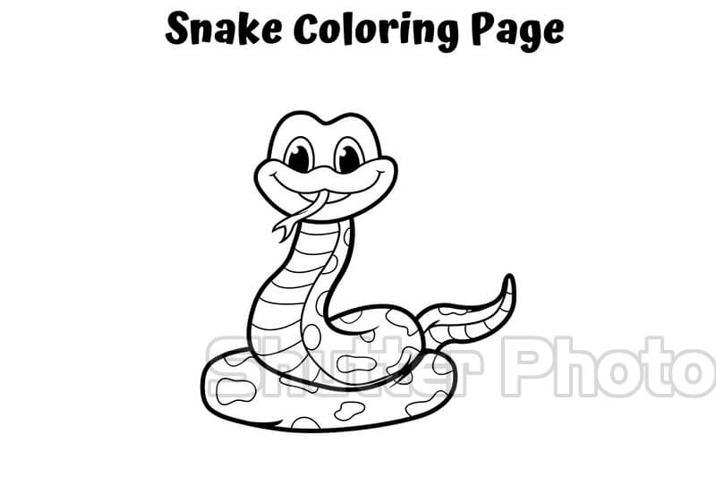Tranh tô màu con rắn dành cho bé yêu nhiều lứa tuổi
