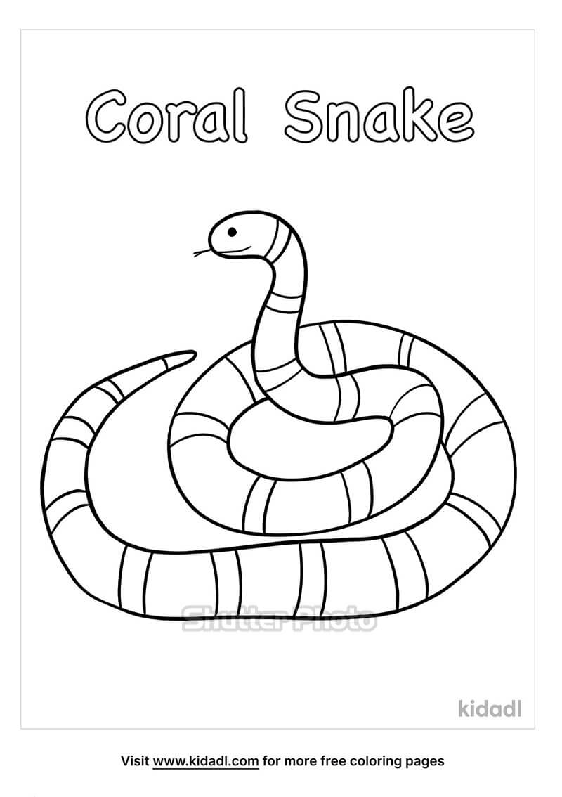 Xem ngay Hình vẽ con rắn dễ thương với nhiều phong cách khác nhau