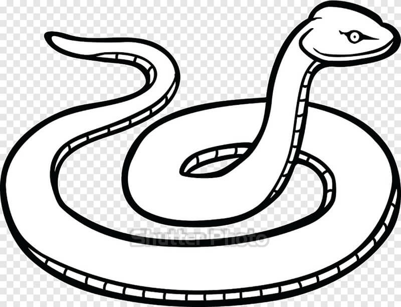 Hình vẽ rắn: Với những người yêu thích thế giới động vật, hãy cùng khám phá những hình vẽ rắn đầy sinh động và chi tiết của chúng tôi. Mỗi hình ảnh đều có một đặc điểm riêng, hãy cùng khám phá và tìm hiểu thêm về chúng.