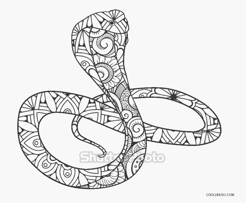 Tranh tô màu con rắn